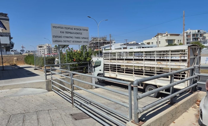 Κλιμακώνουν τις κινητοποιήσεις οι κτηνοτρόφοι – Απέκλεισαν το Επαρχιακό Κτηνιατρικό Γραφείο Λάρνακας